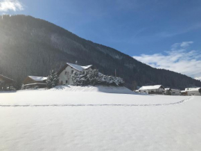 ARLALPIN, Pettneu Am Arlberg